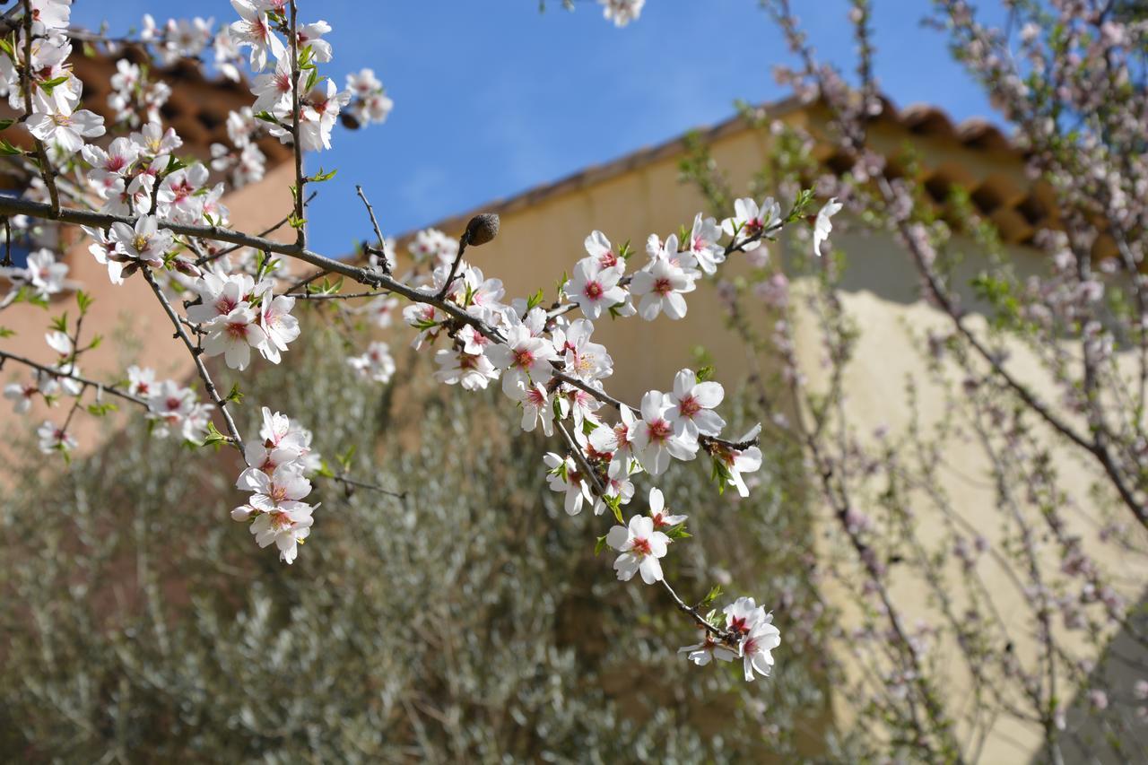 Les Aludes Villa La Destrousse ภายนอก รูปภาพ